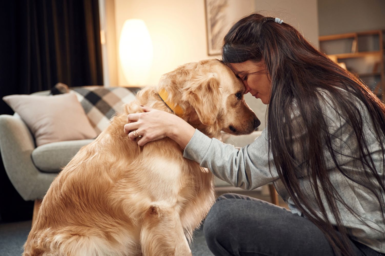 Emotional Support Animal vs. Psychiatric Service Dog: The Differences