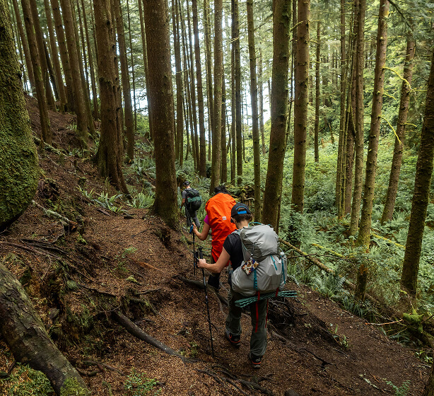 Individual_CoulmnOne