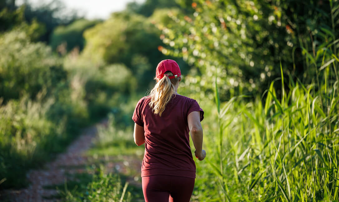 SystemBiologyApproach