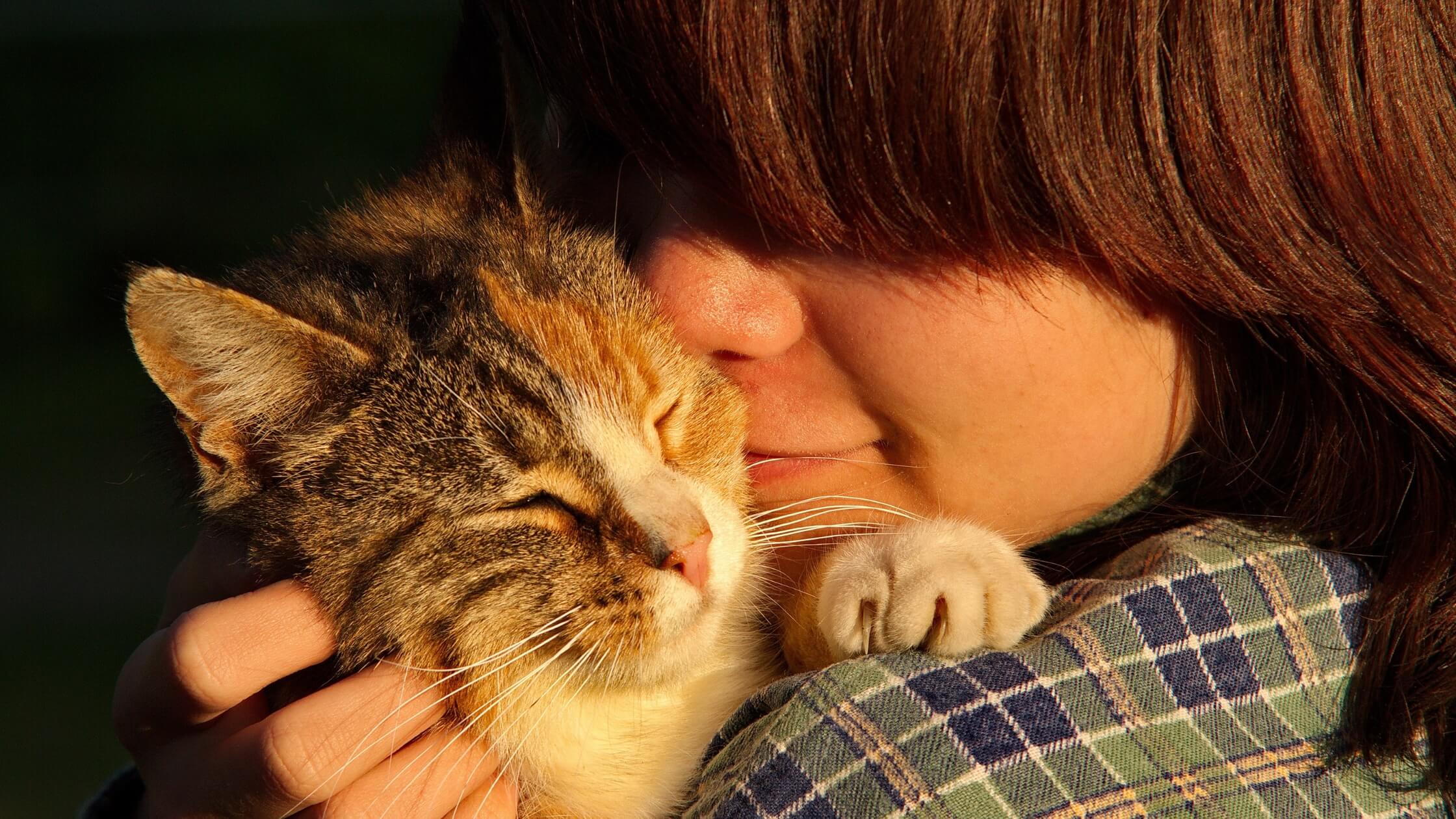 Emotional Support Animals vs Psychiatric Service Dogs: What’s the difference?