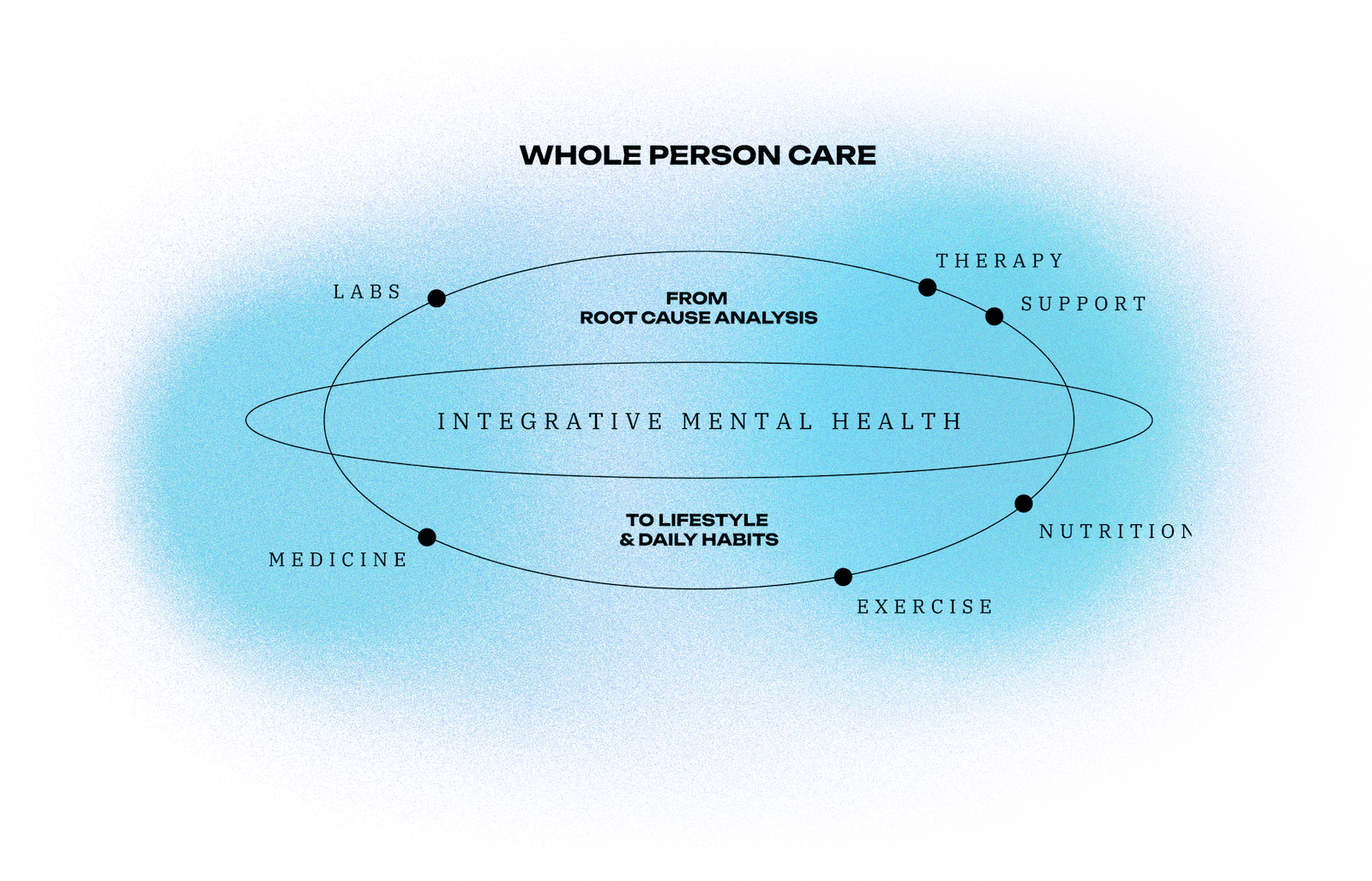 whole-person-care-graphic-blue