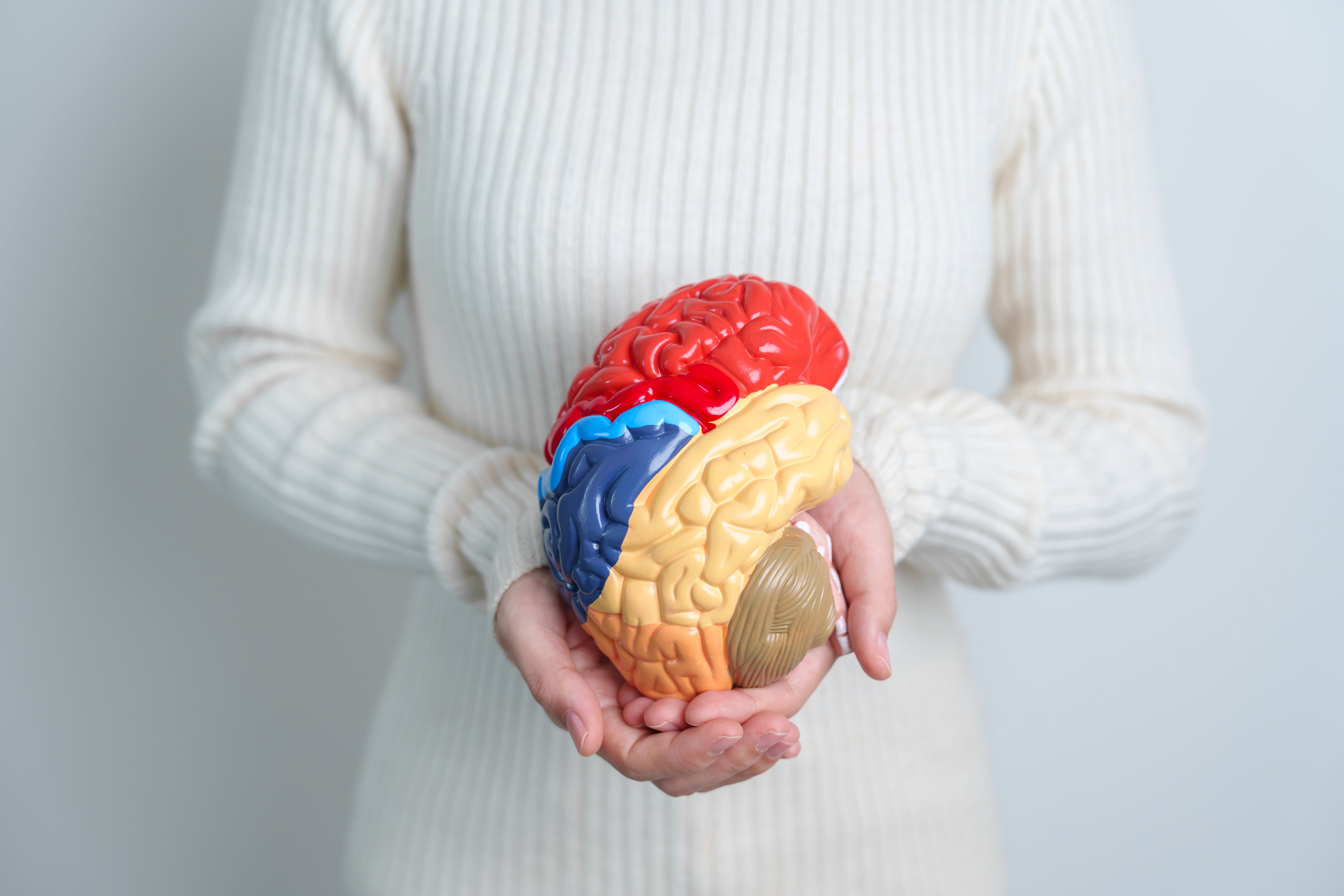 How Serotonin Connects Your Gut and Your Brain