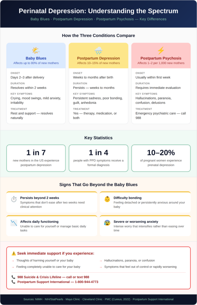 Infographic comparing baby blues postpartum depression and postpartum psychosis showing prevalence onset duration symptoms and crisis resources.